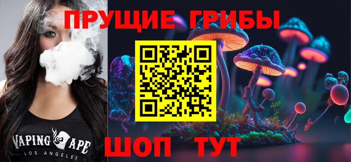 Галлюциногенные грибы Psilocybine cubensis  Вход с VPN  Сызрань 